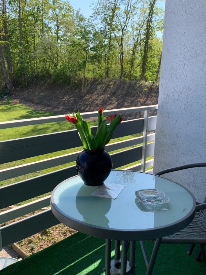 Hotel Markgraf Bad Bellingen Kültér fotó